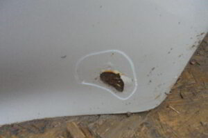 Изображение товара 213w29832 - 08567215 (3)