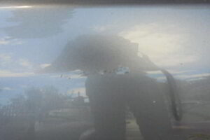 Изображение товара 117w30730 - 0879117 (3)