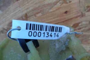 Изображение товара 13414 - 00013414 bachok gidrousilitelya Citroen C5 1