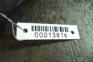 Изображение товара 13816 - 00013816 starter Peugeot 4007 2