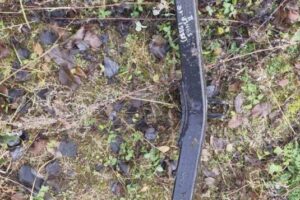 Изображение товара 2856w28292 - 2856w28292 pritsepnoe ustrojstvo 20241125121125 1