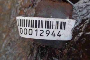 Изображение товара 12944 - 00012944 amortizator zadnij pravyj   3