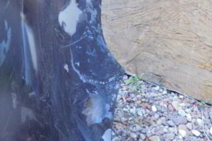 Изображение товара 1542w8328 - DSC007851542