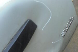 Изображение товара 2503w7987 - DSC011102503