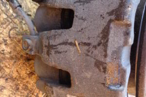 Изображение товара 3389w55582 - DSC024403389 (4)