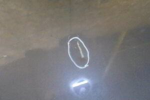 Изображение товара 254552 - DSC03657K96 (4)