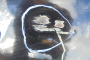 Изображение товара 253612 - DSC03965K 124 (5)