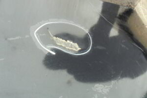 Изображение товара 260881 - DSC04006K130 (4)