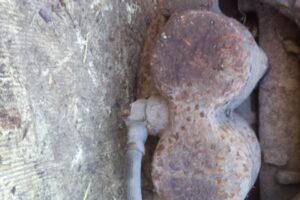 Изображение товара 3343w52453 - DSC045303343 (2)