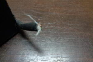 Изображение товара 75w37288 - DSC04641M 75 (4)