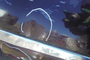 Изображение товара 25w23292 - DSC05290K25 (4)