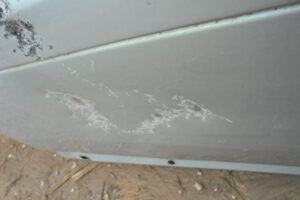 Изображение товара 108w29759 - DSC06669108 (2)