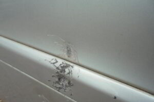 Изображение товара 108w29759 - DSC06669108 (3)