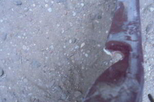 Изображение товара 2845w28797 - DSC096622845 (4)