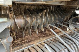 IMG-20251006-WA0137 IMG-20251006-WA0137