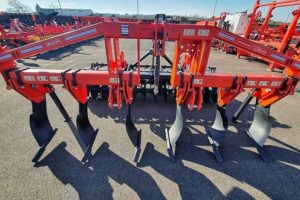 IMG-20251028-WA0005 IMG-20251028-WA0005