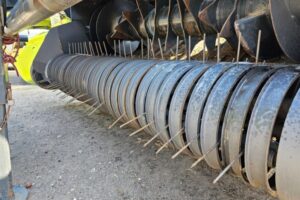 Изображение WhatsApp 2025-11-12 в 12.37.00_cebae558