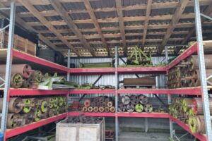 Изображение WhatsApp 2025-01-22 в 18.48.05_9c4f2c2b