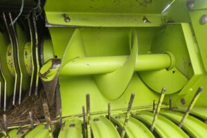 WhatsApp Image 2025-12-24 at 15.01.20 (1)