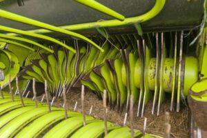 WhatsApp Image 2025-12-24 at 15.01.20 (2)