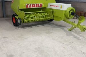 WhatsApp Image 2026-01-09 at 10.13.47