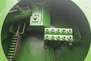 WhatsApp Image 2026-02-20 at 10.51.46