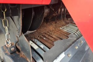 WhatsApp Image 2026-03-27 at 11.10.30 (1)