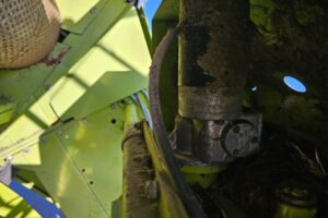 WhatsApp Image 2026-04-27 at 15.43.21 (2)