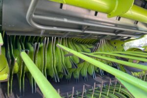 WhatsApp Image 2026-04-27 at 15.53.22 (3)