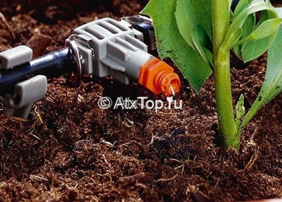 Капельный полив для теплицы из бочки