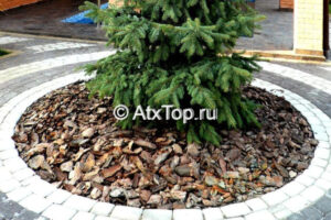 Кора сосновая