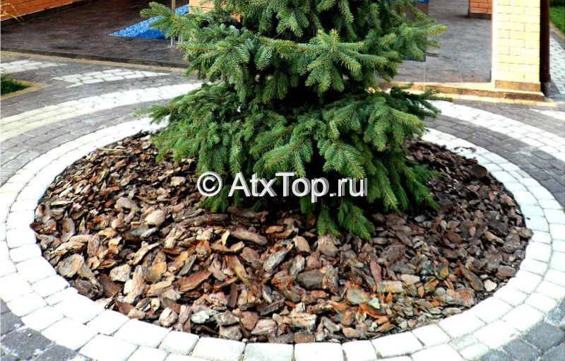Кора сосновая