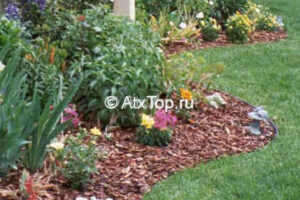 Мульча: сосновые шишки, кора сосновая