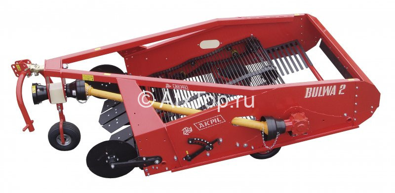 akpil-bulwa-2-5