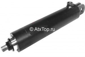 gidrotsilindr-cnsf-40-160z-anna-z-644-1