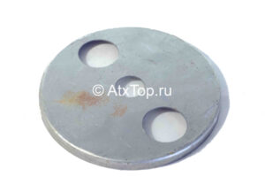 zashhitnyj-disk-anna-z-644-2-1