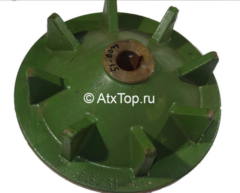 zvezd-vedushhaya-botv-anna-z-644-2