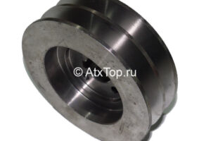 shkiv-verhnij-gorki-anna-z-644-3