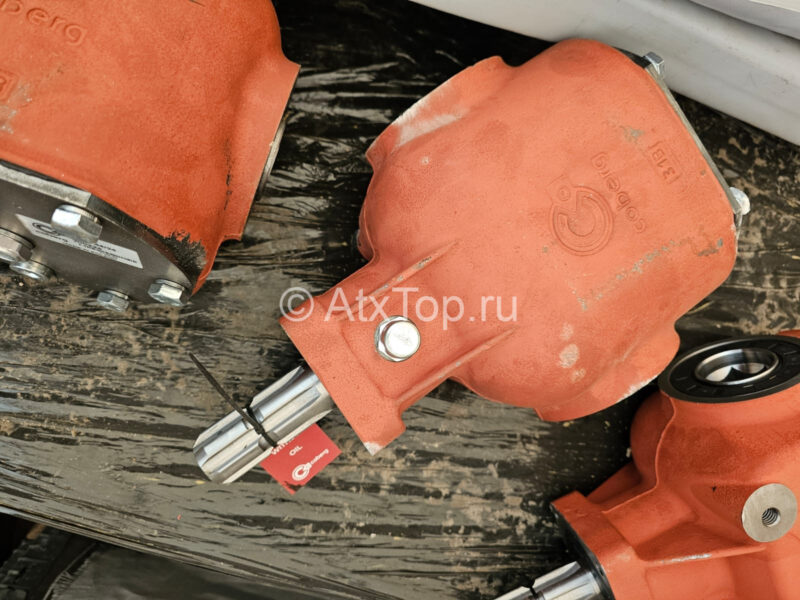 IMG-20240416-WA0009