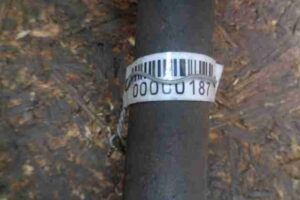 Изображение товара 187 - 00000187 poluos perednyaya pravaya SEAT Ibiza