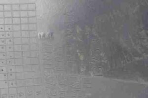 Изображение товара 408 - 00000408 porog plastikovyj levyj Hyundai H1 2