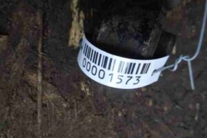 Изображение товара 1573 - 00001573 amortizator zadnij pravyj Lexus RX 1