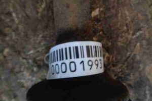 Изображение товара 1993 - 00001993 poluos zadnyaya levaya Lexus RX 3