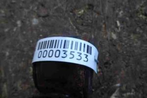 Изображение товара 3533 - 00003533 amortizator zadnij pravyj Pontiac Vibe 2