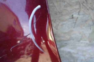 Изображение товара 4438 - 00004438 krylo levoe 2