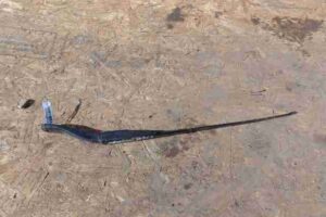 Изображение товара 6548 - 00006548 povodok stekloochistitelya 