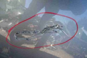 Изображение товара 6801 - 00006801 dver perednyaya pravaya 1