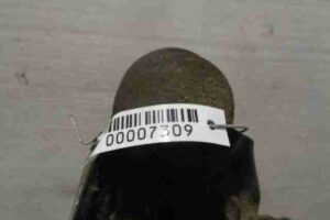 Изображение товара 7309 - 00007309 rychag perednij levyj nizhnij Isuzu Rodeo