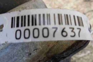 Изображение товара 7637 - 00007637 podushka krepleniya dvigatelya 2