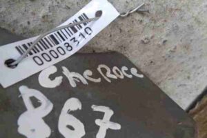 Изображение товара 8310 - 00008310 porog plastikovyj levyj 2